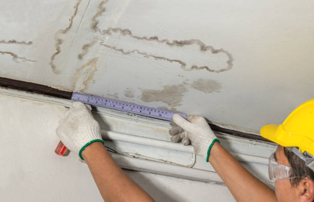 Reliable Water Damage contractor in Trenton, NJ by Water Damage Irwin